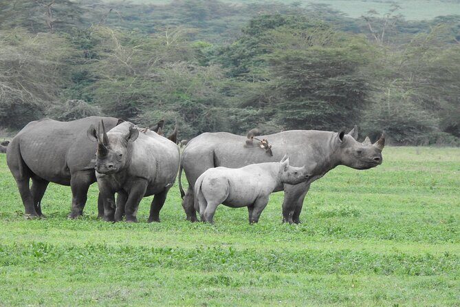 Off the Beaten Track Safari in Arusha Tanzania - The Quality of Guides and Accommodations