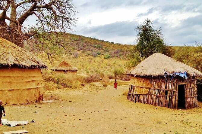 Off the Beaten Track Safari in Arusha Tanzania - Evaluating the Value