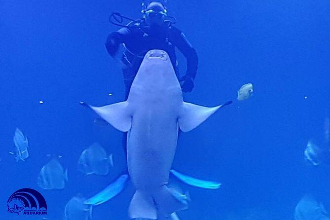 Official Account: Hurghada Grand Aquarium Entrance Tickets - Who Should Consider Visiting?