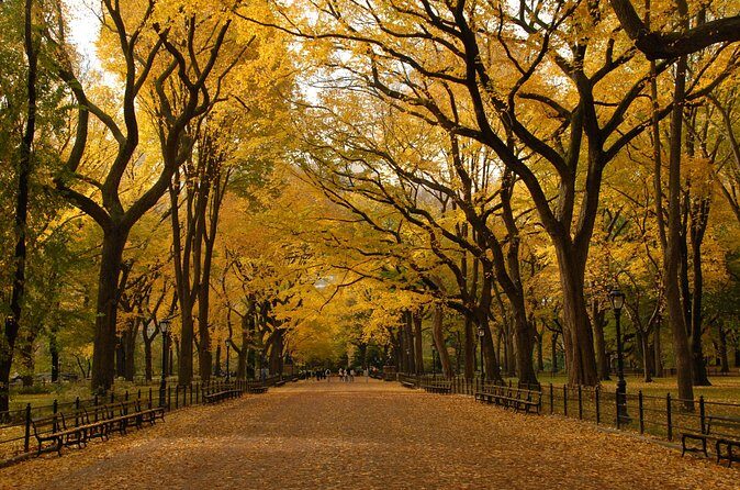 Official Central Park Walking Tour - Authentic Insights from Reviewers