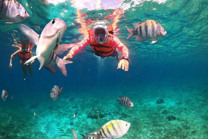 Official Chankanaab Beach Park Day pass with Lunch included - What to Expect at Chankanaab Beach Adventure Park