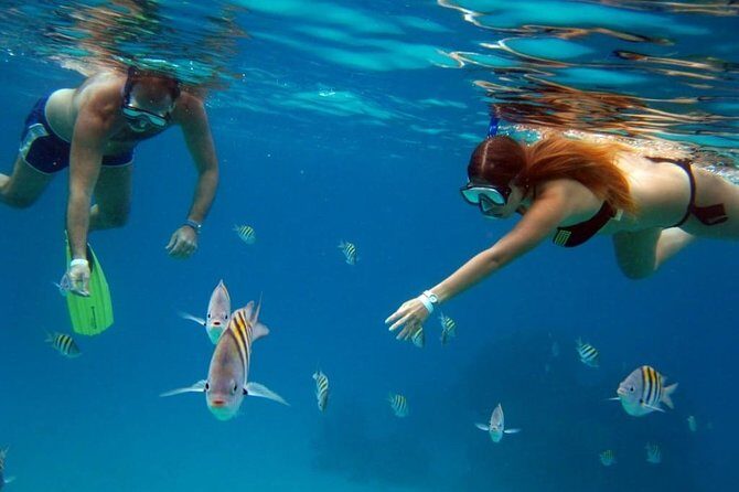 Official Chankanaab Beach Park Day pass with Lunch included - Real Experiences from Visitors