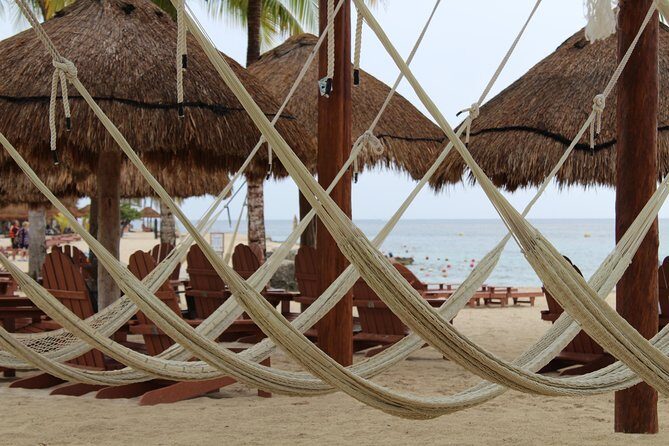 Official Chankanaab Beach Park Day pass with Lunch included - Who Should Visit?