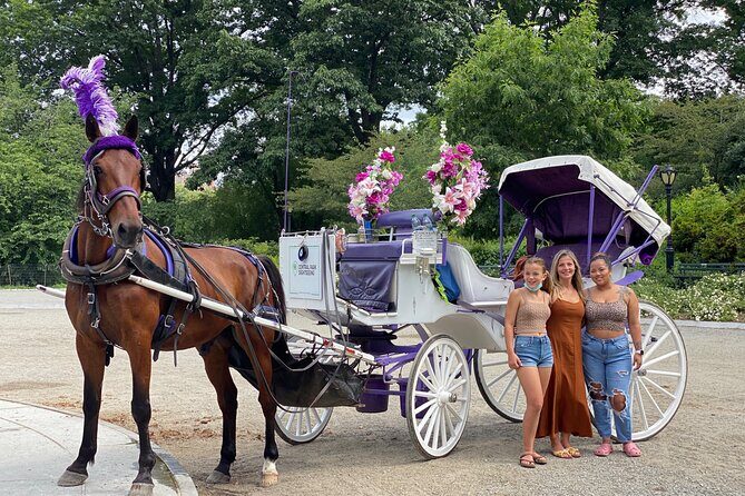OFFICIAL NYC Central Park Horse Carriage Rides - Who Will Love This Tour?