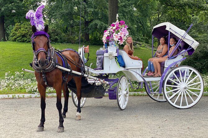 OFFICIAL NYC Central Park Horse Carriage Rides - FAQ