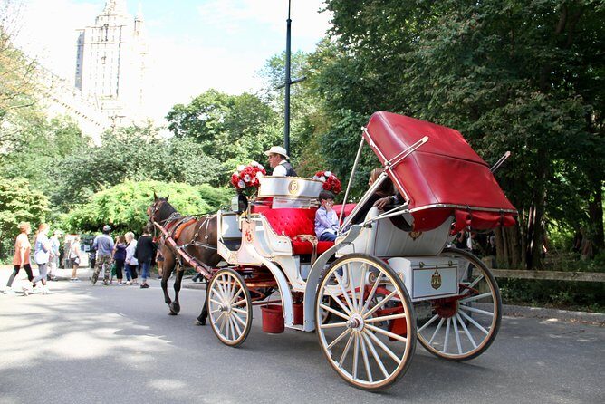 Official NYC Horse Carriage Rides in Central Park since 1979 - A Closer Look at the Experience