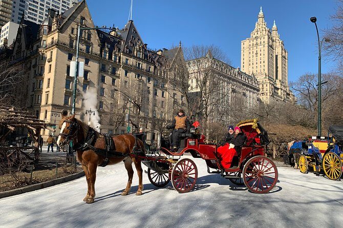 Official NYC Horse Carriage Rides in Central Park since 1979 - FAQs
