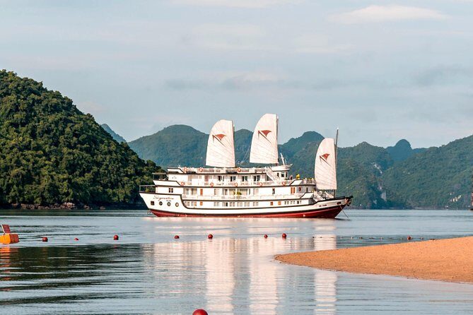 (Official) Signature Halong Cruise - 03 days 02 nights program - The Experience: What Travelers Have Said