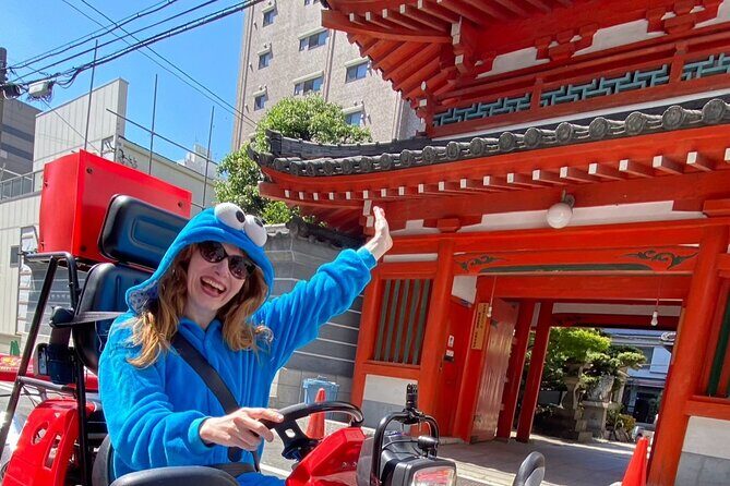 Official Street Go-Kart Tour - Osaka Shop - Who Will Love This Tour?