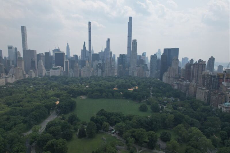Official VIP Whole Central Park Horse Carriage Tour - The Experience in Detail: What’s It Like?