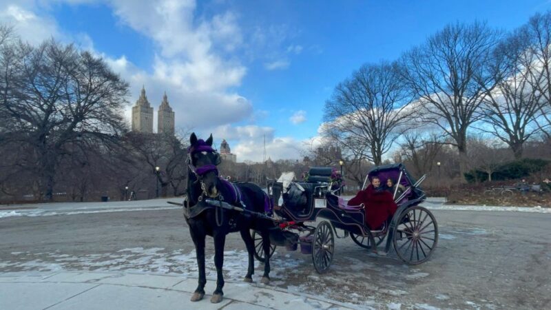 Official VIP Whole Central Park Horse Carriage Tour - Who Is This Tour Best For?
