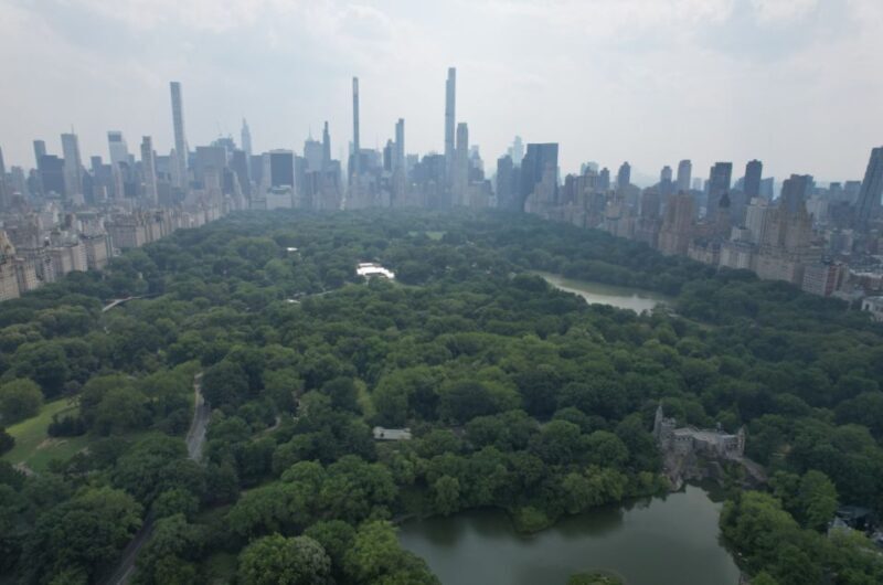 Official VIP Whole Central Park Horse Carriage Tour - FAQ: Your Central Park Carriage Tour Questions Answered