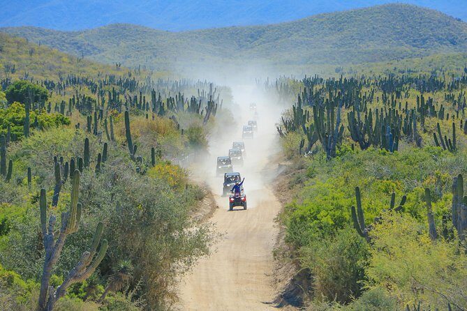 OffRoad 4X4 UTV Adventure with unlimited Lunch & Tequila - The Trails and Terrain