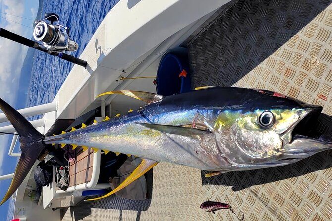 Offshore fishing around the Teahupo'o wave - Who Should Book This Tour?