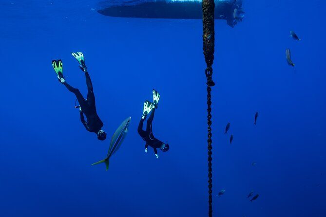 Offshore Safari Adventure in Kona with Underwater Videos - Small Group Dynamics and Authentic Encounters