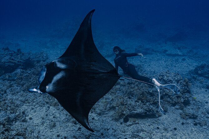 Offshore Safari Adventure in Kona with Underwater Videos - Frequently Asked Questions