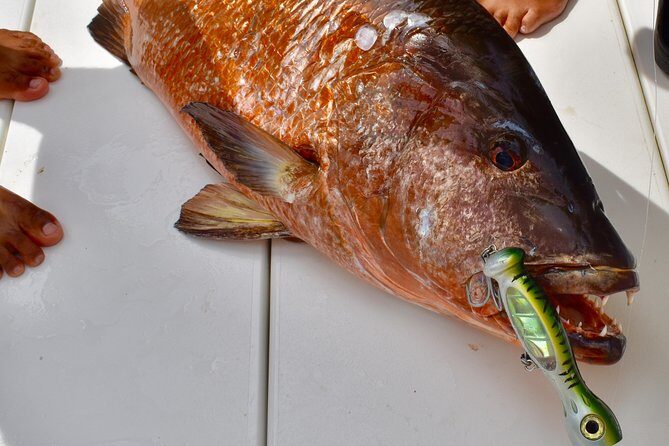 Offshore Sport & Flyfishing - 7 hours - The Sum Up