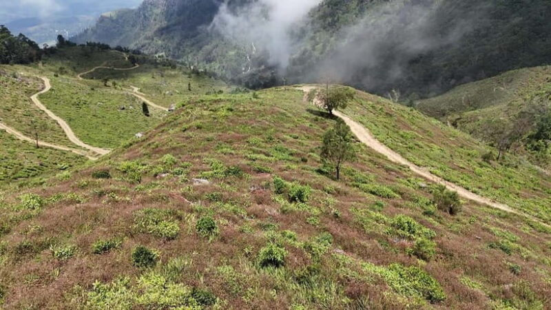Ohiya: Devils Staircase Guided Hike to Kalupahana - Authenticity and Real Feedback