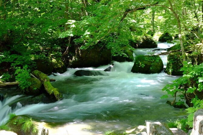 Oirase Gorge and Lake Towada Day Hike with Government-Licensed Guide - An In-Depth Look at the Oirase Gorge and Lake Towada Tour