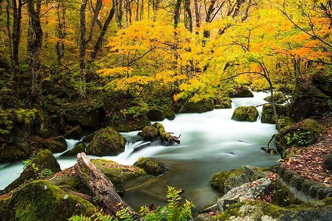Oirase Gorge and Lake Towada Day Hike with Government-Licensed Guide - Final Thoughts