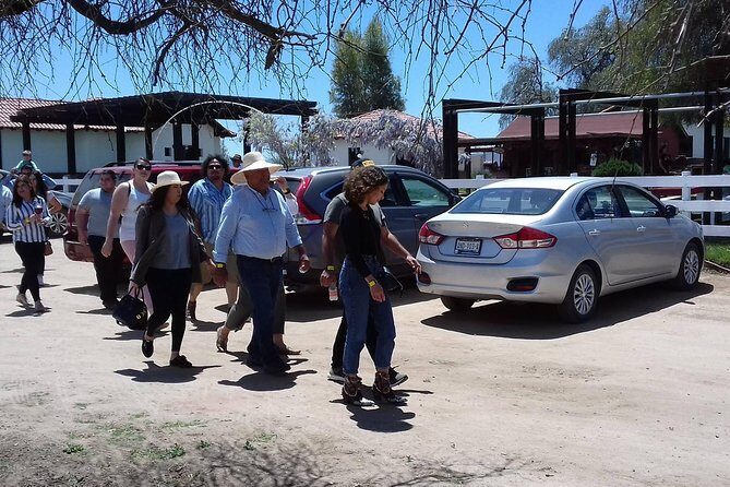 Ojos Negros Valley Wine and Cheese Route Tour in Baja California - FAQs