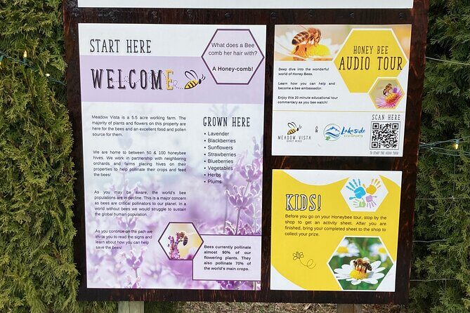 Okanagan Bee Tour and Lunch at Winery in Kelowna - Who Will Love This Tour?