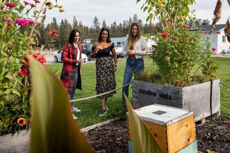 Okanagan Bee Tour, Wine Tasting and Lunch at Kelowna Winery - The Honey and Wine Tasting Experience
