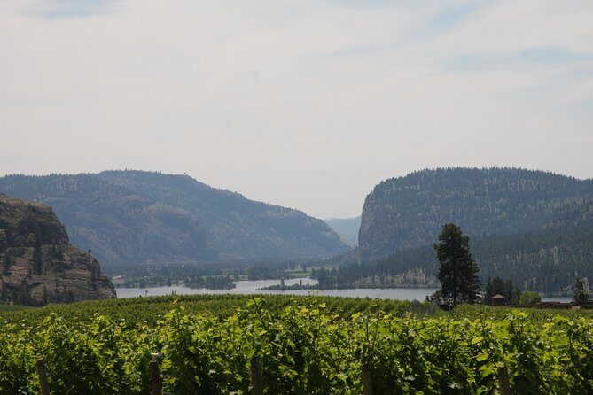 Okanagan Falls Private Wine Tour - Full Day - Frequently Asked Questions