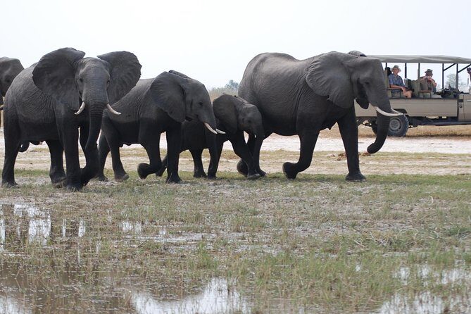 Okavango delta - Chobe Adventure 7 Nights/8 Days - Frequently Asked Questions