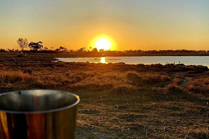 Okavango Delta Day Trip - An In-Depth Look at the Itinerary