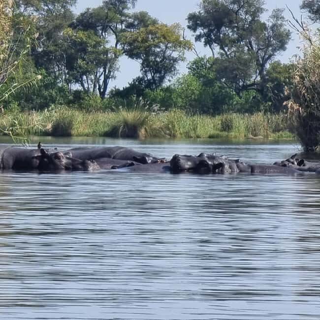 Okavango Delta: Full-Day Mokoro/Canoe Tour All-Inclusive - Key Points