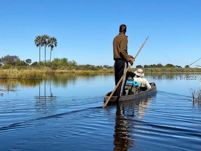 Okavango Delta: Full-Day Mokoro/Canoe Tour All-Inclusive - Detailed Breakdown of the Day