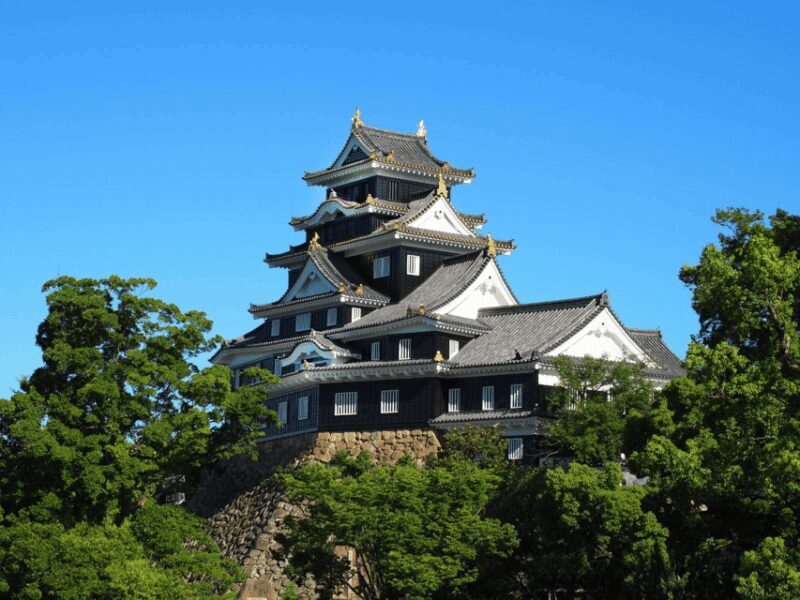 Okayama Castle Admission Ticket - The Cost and Value