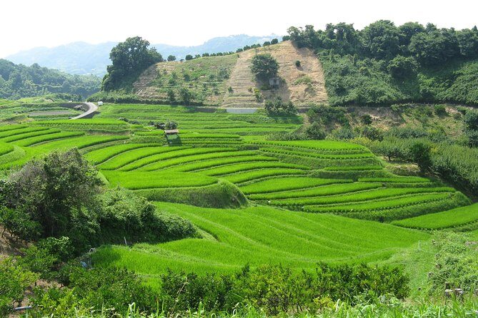 Okayama Half-Day Private Trip with Government-Licensed Guide - The Sum Up: Is This Tour Right for You?