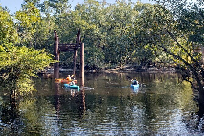 Okefenokee Swamp: Guided Kayak Tour with a Local Naturalist - An In-Depth Look at the Tour Experience