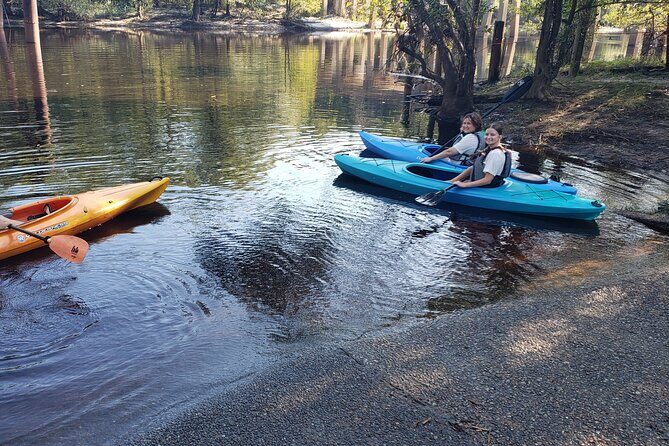 Okefenokee Swamp: Guided Kayak Tour with a Local Naturalist - Final Thoughts: Is It Worth It?
