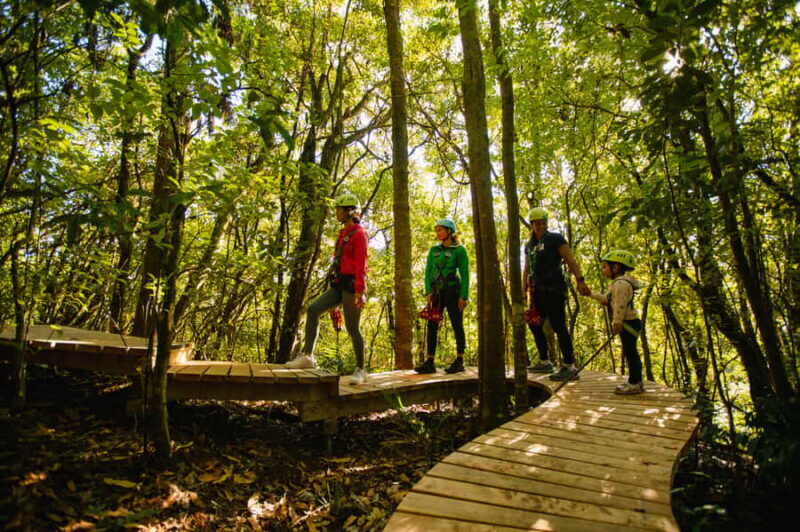 Okere Falls: Zipline over Waterfalls Experience - The Itinerary Breakdown