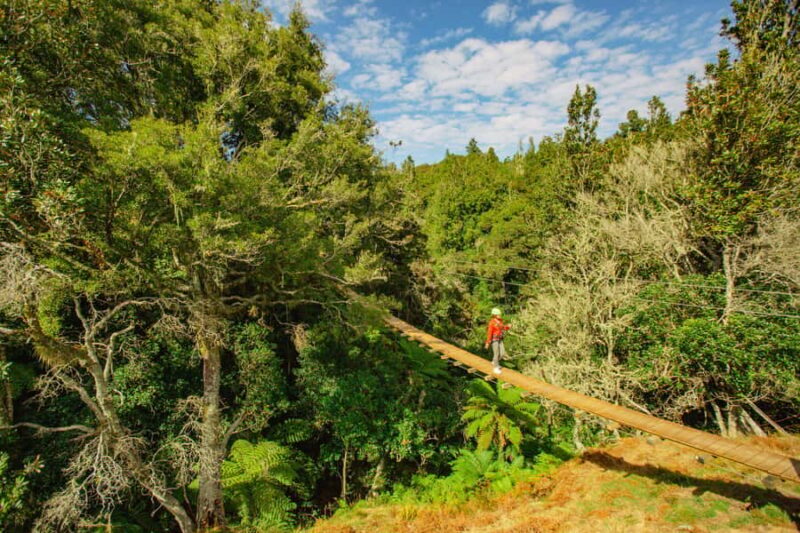 Okere Falls: Zipline over Waterfalls Experience - Practical Tips for Travelers