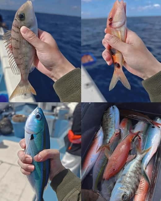 Okinawa: 1/2-Day Private Sea Fishing Charter, Naha w/Pickup - Why This Tour Is a Good Choice
