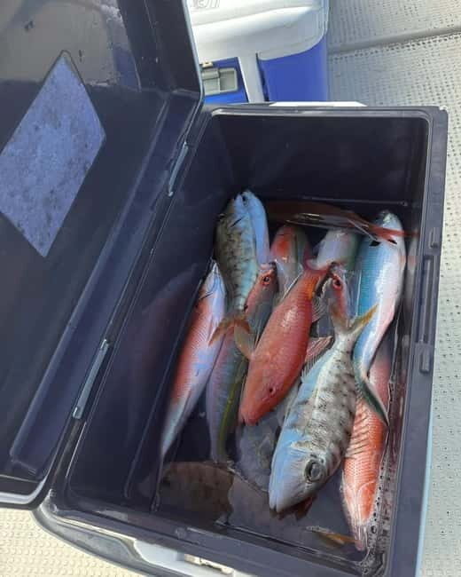 Okinawa: 1/2-Day Private Sea Fishing Charter, Naha w/Pickup - Who Should Likely Skip This Tour?