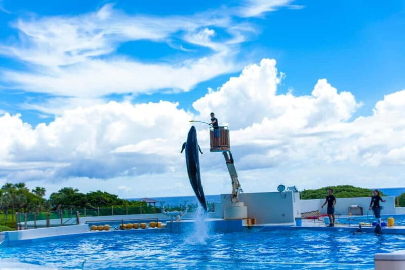Okinawa: Aquarium, Kouri Island, & American Village Bus Tour - A Closer Look at the Tour Experience