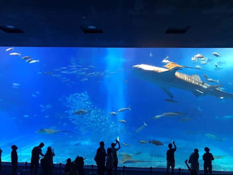 Okinawa: Aquarium, Kouri Island, & American Village Bus Tour - Authentic Experiences as Highlighted by Travelers
