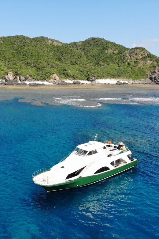 Okinawa: From Naha: Kerama Islands 1-day snorkeling tour - The Itinerary: What to Expect on This Okinawa Snorkeling Day