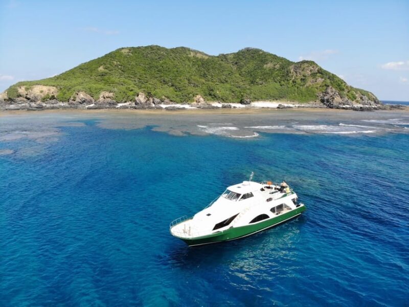 Okinawa: From Naha: Kerama Islands 1-day snorkeling tour - Final Thoughts: Is This Tour Worth It?