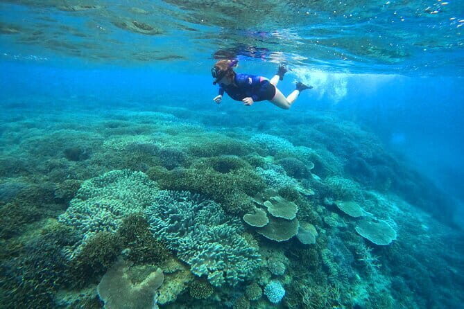 Okinawa Highlight Tour by Private Car - FAQ