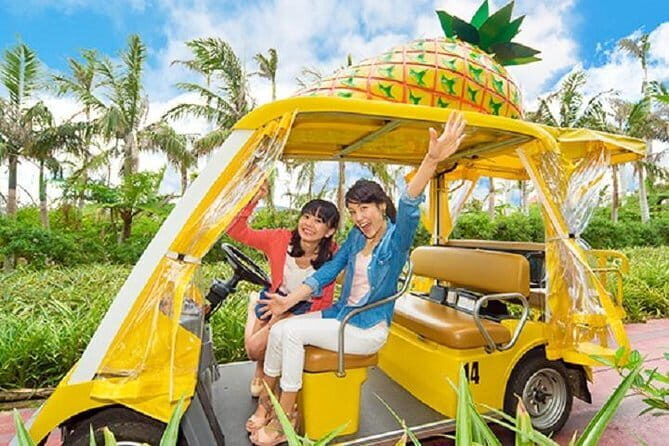 Okinawa Hip-hop Bus A Course TourChuraumi Aqualium,Kori Island - Key Points