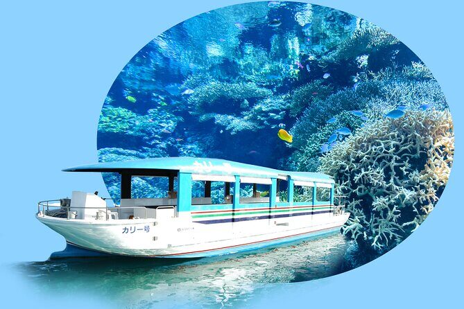 Okinawa Hip-hop Bus B Course Tour (Okinawa Churaumi Aquarium) - Introduction