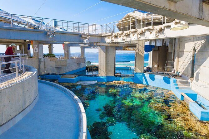 Okinawa Hip-hop Bus B Course Tour (Okinawa Churaumi Aquarium) - Cost and Value