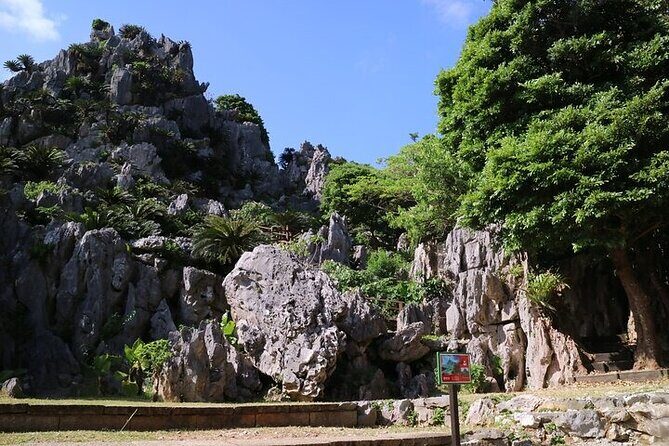Okinawa Hip-hop Bus C Course Tour to Northern Island - Key Points