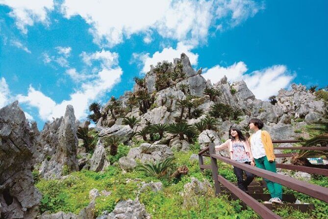 Okinawa Hip-hop Bus C Course Tour to Northern Island - A Deep Dive into the Tour Experience